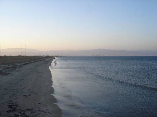 Lady's mile beach